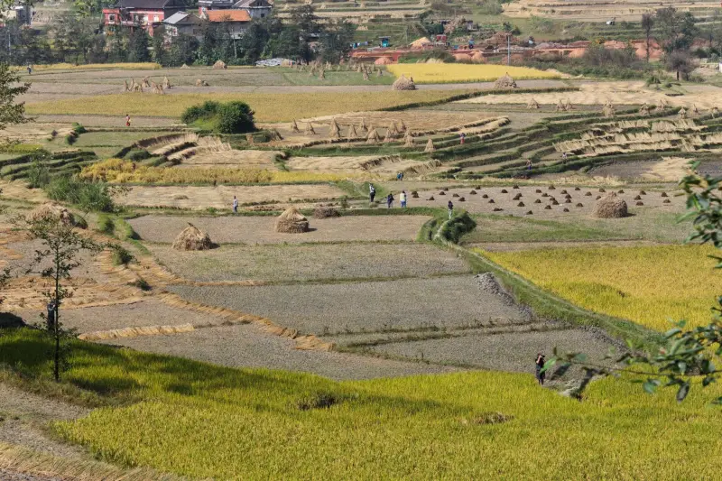 2025年上海建材市场供需趋势与贸易服务优化策略