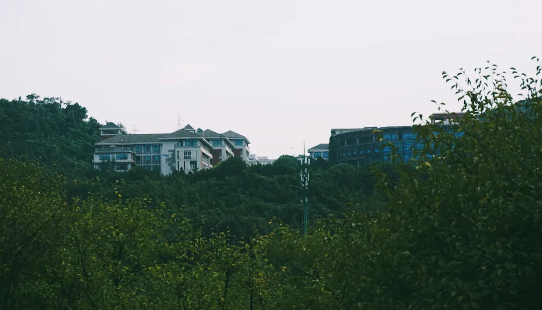 上海斌联贸易一站式建材采购服务流程详解与优势分析